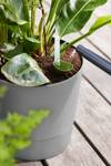 greensense aqua care rond 35cm licht beton